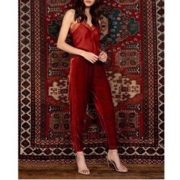 Johnny Was Pants - Johnny Was Aurora Embroidered Velvet Joggers Size Small Rust Color MSRP $248